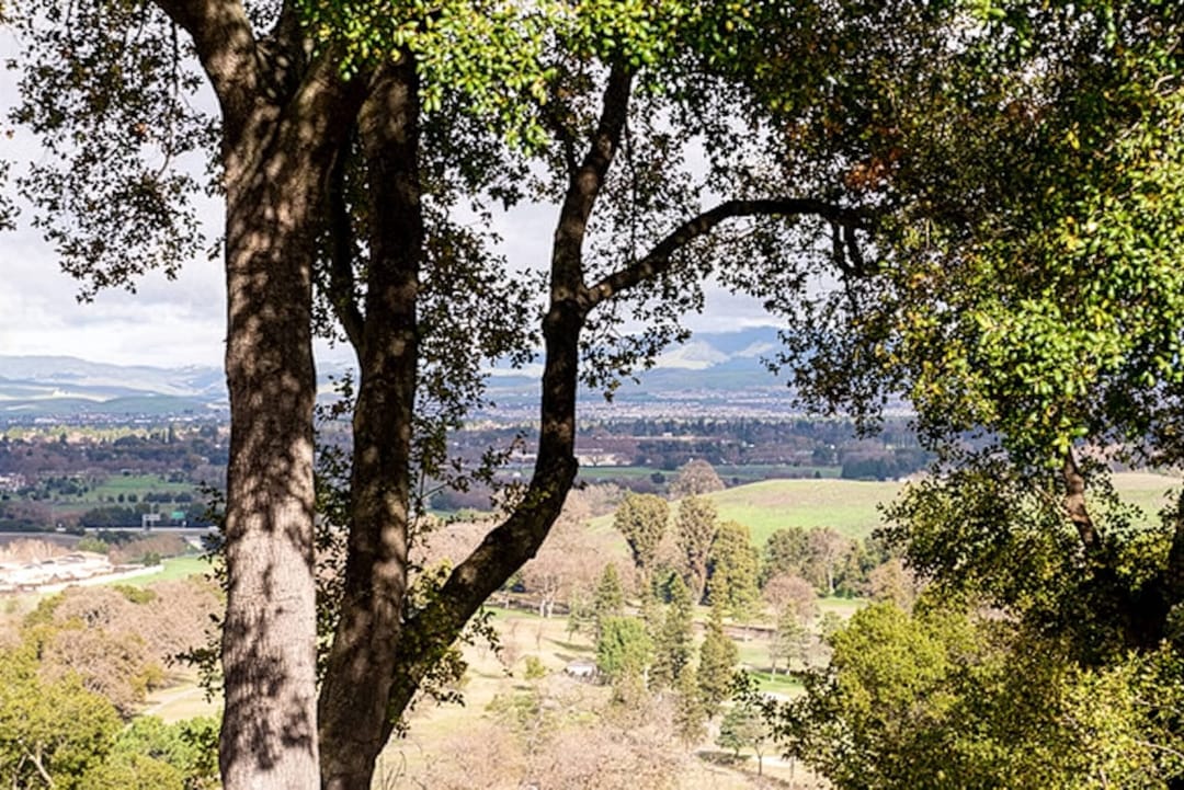 Castlewood Country Club Weddings | Pleasanton Wedding Venue Guide